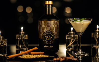 PRESENTACIÓN DEL LICOR SUAVE DE CREMA DE QUESO VEGA DANIA